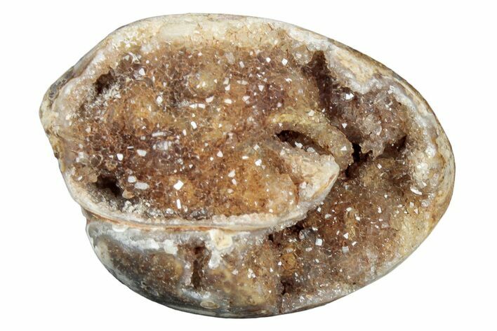 Chalcedony Replaced Gastropod With Sparkly Quartz - India #320816